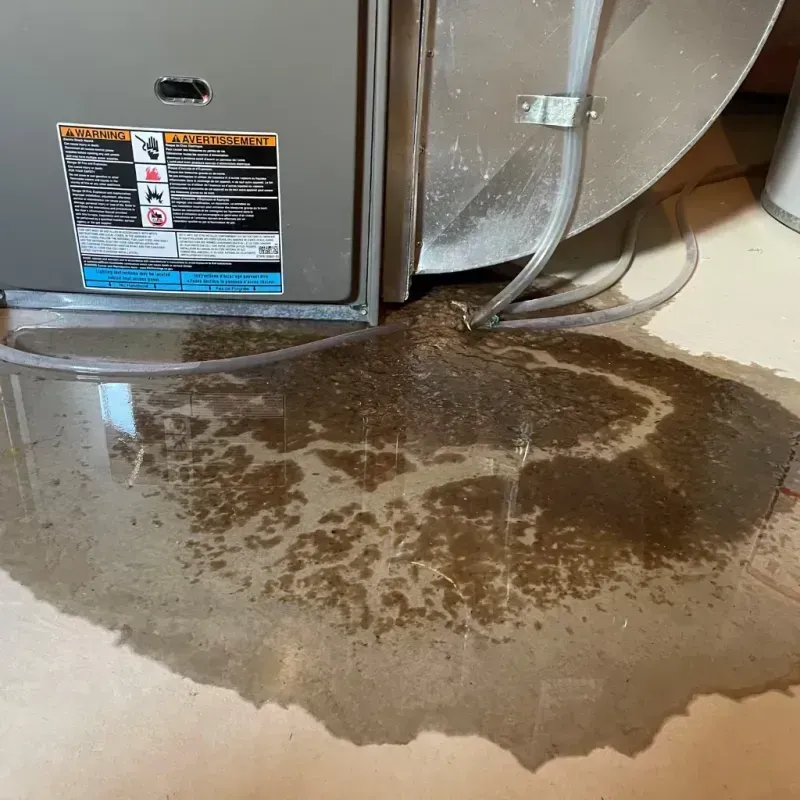 Appliance Leak Cleanup in Chester, NH